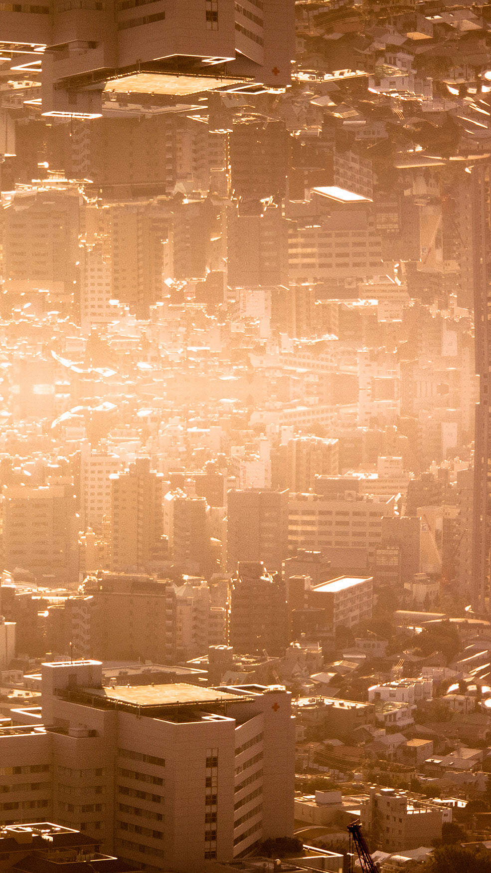 古賀勇人「world is not world 1027-2」 写真、印画紙、アクリルパネル / Photography, photographic paper, acrylic panel