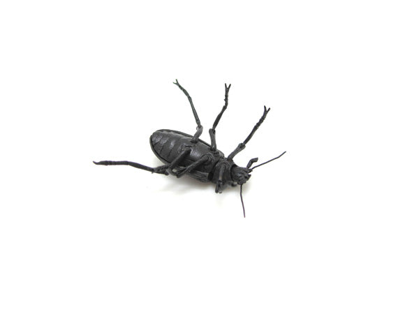 満田晴穂「自在木廻」2012年 銅 真鍮 青銅 画像3