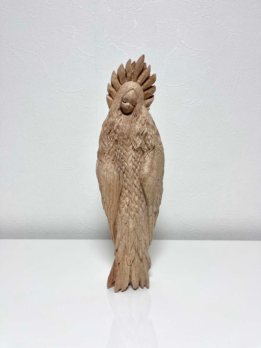 永島信也「feather」 楠 / Camphor wood