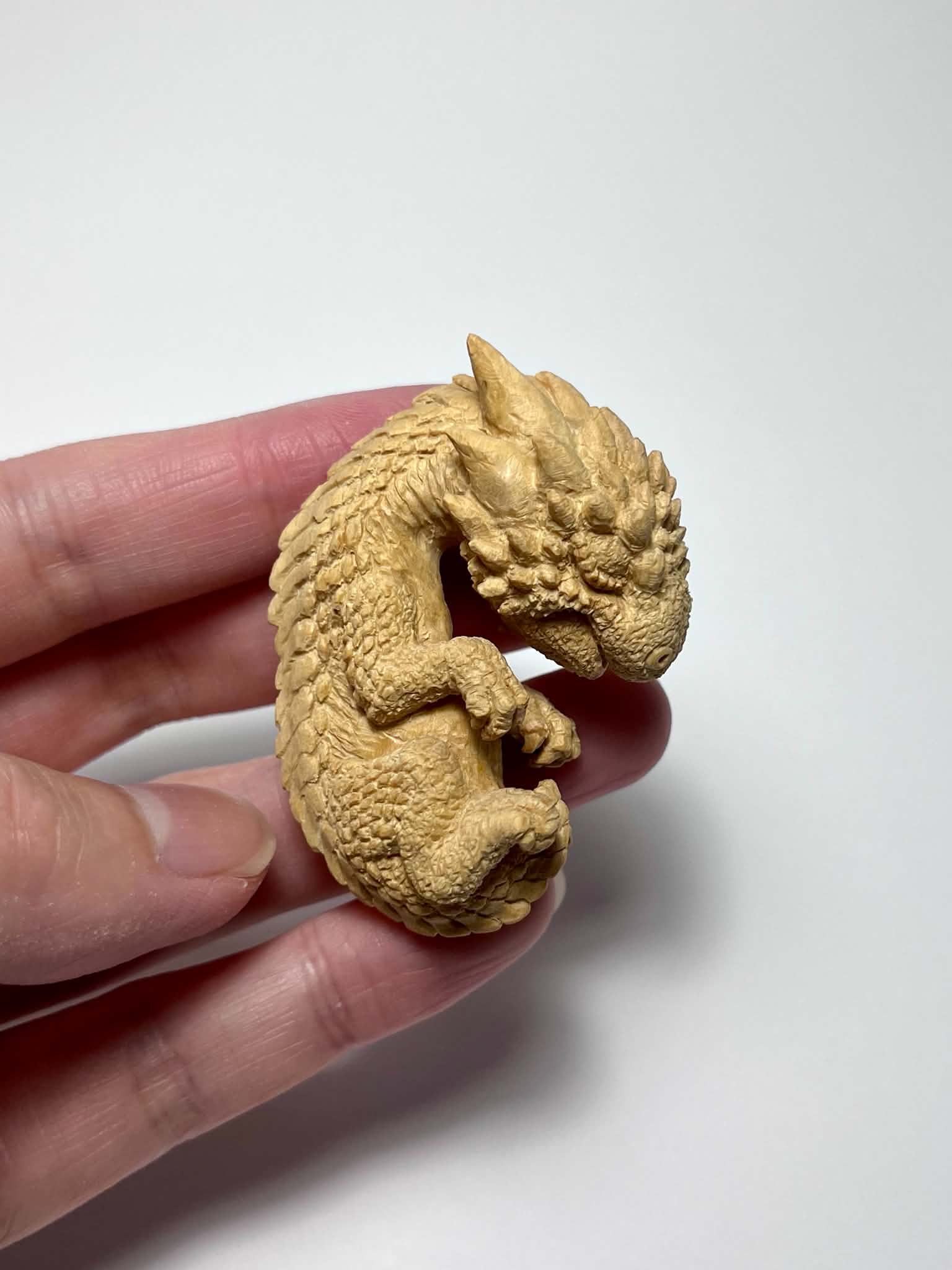 永島信也「Newborn dragon」黄楊 クローズアップ